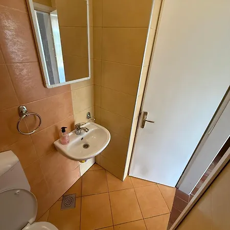 Ela * 프리제도르