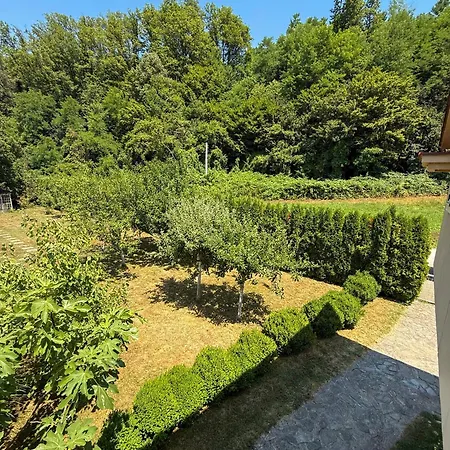 Ela * プリイェドル